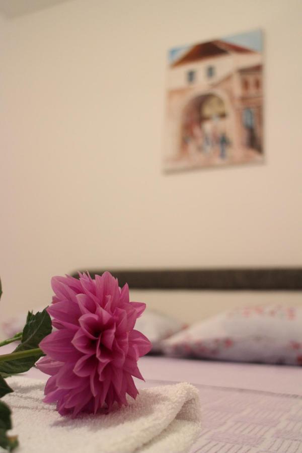 Apartman Anja Требинье Экстерьер фото